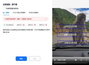 视频去文字-规则设置-同一画面多处文字